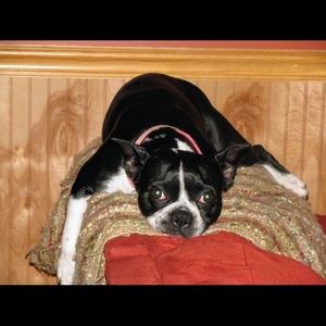 Meet your Posher, Theresa